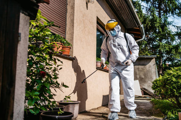 Best Termite Control Services  in Vineland, NJ
