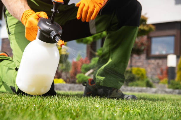 Reliable Vineland, NJ Pest Control Solutions
