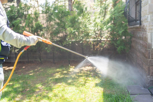 Best Emergency Pest Control  in Vineland, NJ